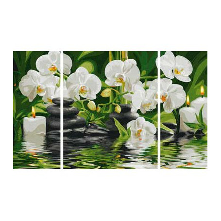 Witte Orchideeën - Schipper Drieluik 50 x 80 cm