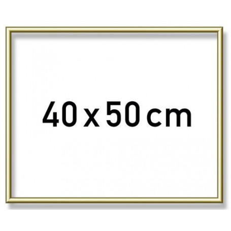 Goudkl. aluminium lijst 40x50 cm