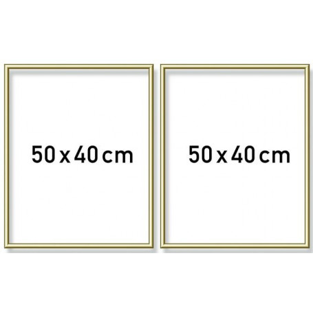Goudkl. aluminium lijst tweeluik 50x80cm (2x 40x50)